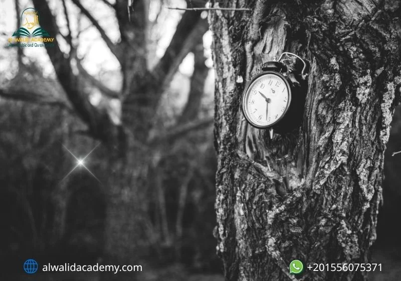 How to get forgiveness from Allah How to get forgiveness from Allah