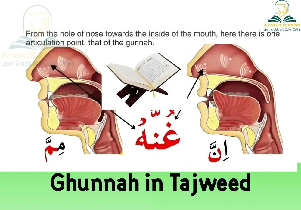 Ghunnah in Tajweed